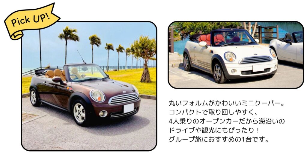 LP-ミニクーパーの紹介